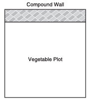 Value Based Questions: Quadratic Equations