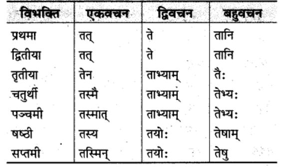 शब्‍दरूप सामान्‍य परिचय | Chapter Explanation | संस्कृत कक्षा 9 (Sanskrit Class 9)