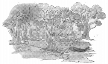अभ्यासः - क्षितौ राजते भारतस्वर्णभूमिः, रुचिरा, संस्कृत, कक्षा - 8 | संस्कृत कक्षा 8 (Sanskrit Class 8)