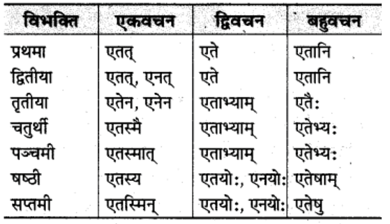 शब्‍दरूप सामान्‍य परिचय | Chapter Explanation | संस्कृत कक्षा 9 (Sanskrit Class 9)