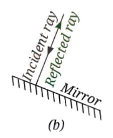 Light: Mirrors and Lenses NCERT Solutions | Science Curiosity Class 8 -  New NCERT