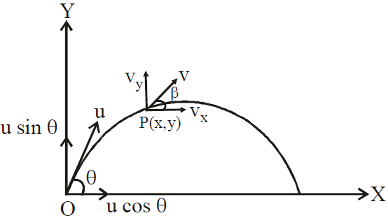 Projectile Motion | Physics Class 11 - NEET