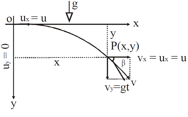 Projectile Motion | Physics Class 11 - NEET