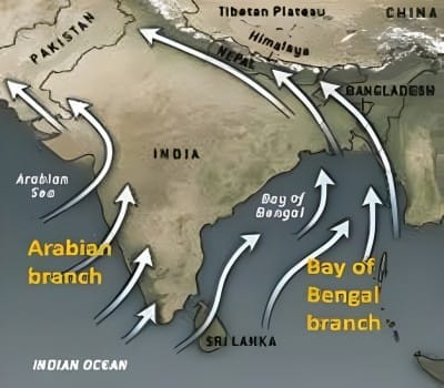 Bifurcation of Monsoon Winds