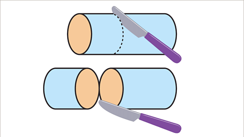 Surface area and volume of a cylinder - Year 7