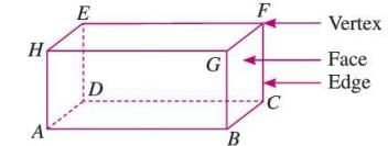 Three-dimensional Shapes Chapter Notes | Mathematics Class 6 ICSE