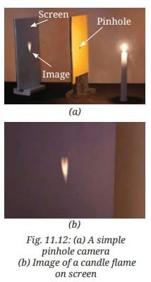 Activity Description