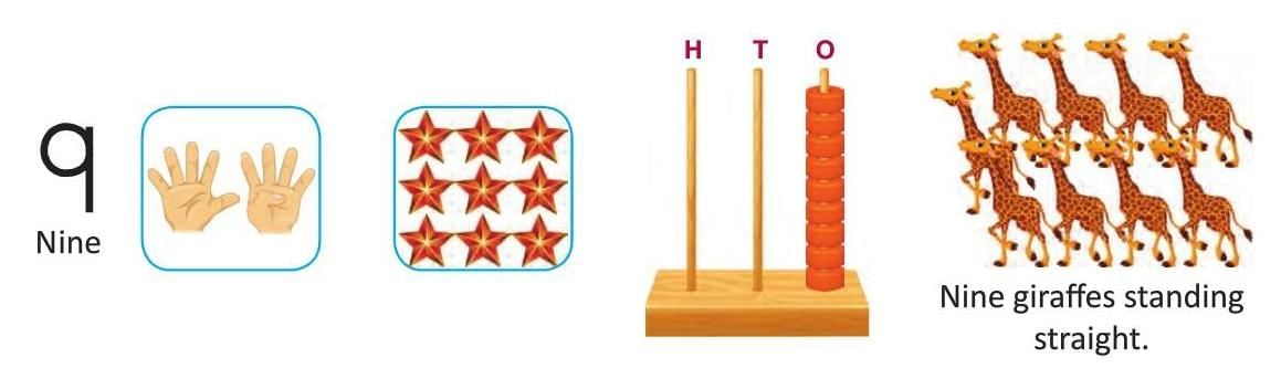 Numbers from 1 to 9 Chapter Notes | Mathematics Class 1 ICSE