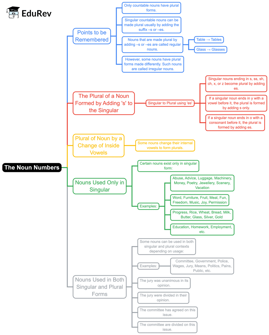 Mindmap: The Noun Numbers | English Grammar Class 7