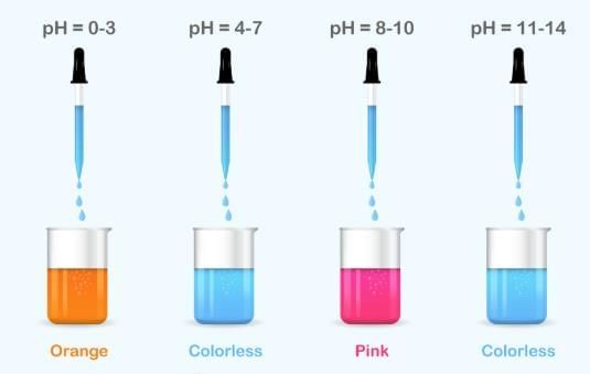 Class 7 Science Chapter 2 HOTS Questions - Exploring Substances: Acidic, Basic and Neutral