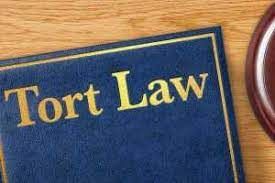 Pakala Narayana Swami v King Emperor, [1939] 1 MLJ 59 | Civil Law for Judiciary Exams