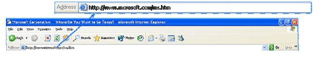 The Internet & The Web : Features - Internet & World Wide Web, E-Commerce | E-Commerce - B Com