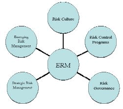 Management of Risk by Individual - Insurance Business And Market, Principles of Insurance, B com | Principles of Insurance