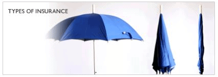 Different Type of Insurance & Insurance Pooling - Principles of Insurance, B com | Principles of Insurance