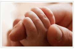 Different Type of Insurance & Insurance Pooling - Principles of Insurance, B com | Principles of Insurance