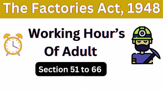 Working Hours of Adults | Business Law - B Com
