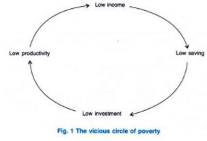 Features of a Developing Economy - Introduction, Indian Economy