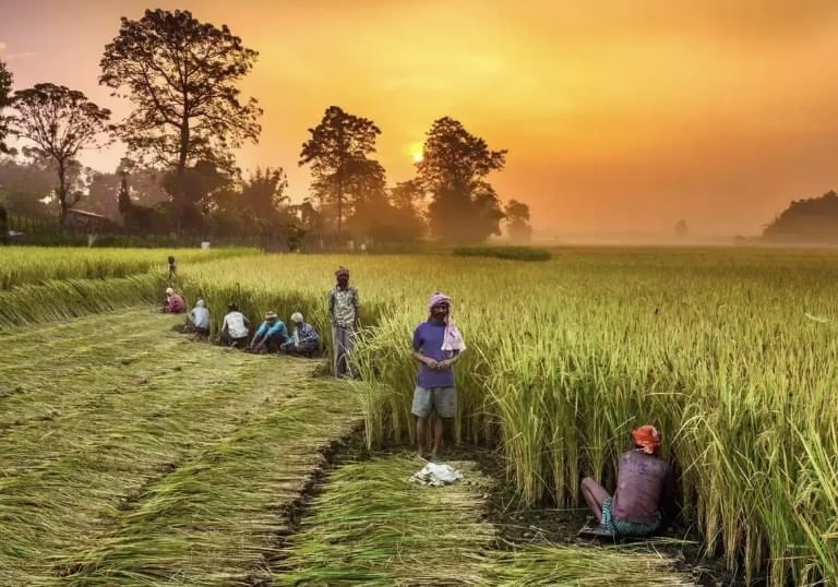 Important Exam Questions: The Story of Village Palampur | Social Studies (SST) Class 9