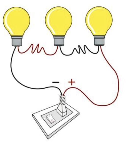 The Ever-Evolving World of Science Class 7 Notes Science Chapter 1 Free PDF