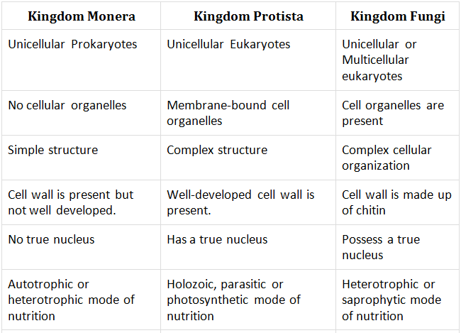 Kingdom Monera, Protista And Fungi - Class 11