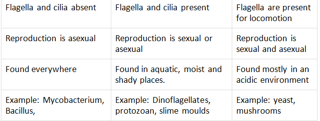 Kingdom Monera, Protista And Fungi - Class 11