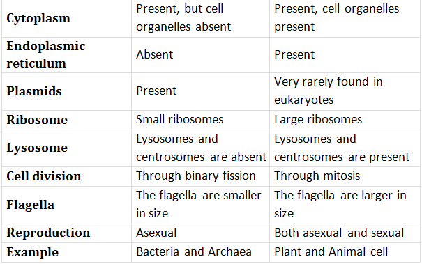 Difference between Prokaryotic & Eukaryotic Cells - Class 11
