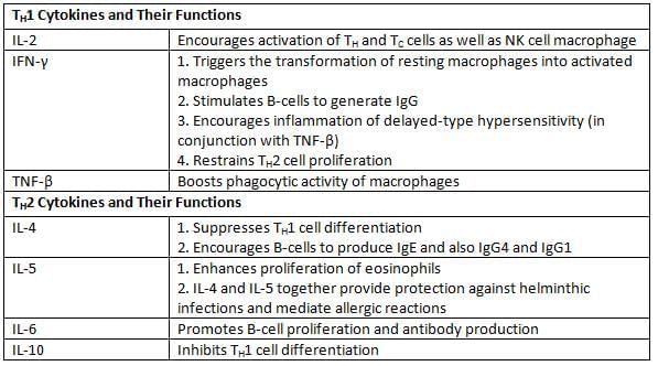 Structure of Immune System and Immune Response Chapter Notes | Microbiology - NEET PG