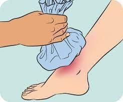 Safety and First Aid Class 4 Notes Science