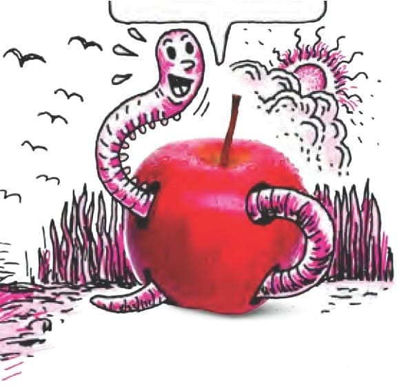 Cells differ in shape and size