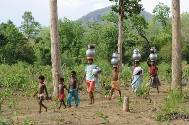 India`s Approach to Forest Tribe Relocation