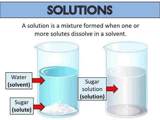 Solutions: Mixtures & Types of Solutions | Chemistry Class 12 - NEET