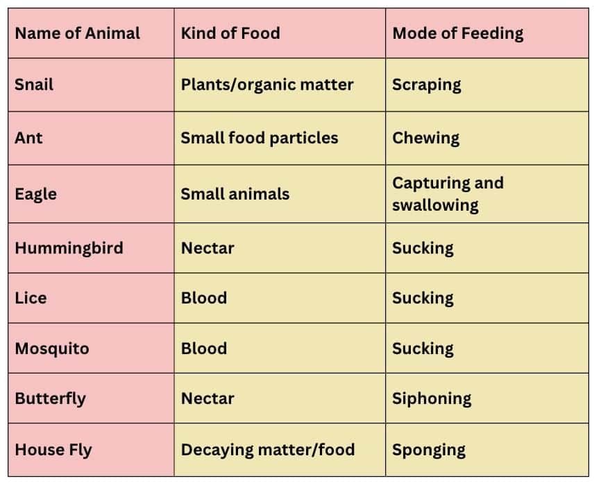 Nutrition in Animals Class 7 Notes Science Chapter 2