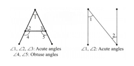 Unit Test (Solutions): Lines and Angles | Mathematics for Class 6