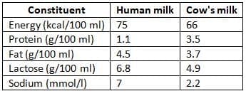 Drugs During Lactation