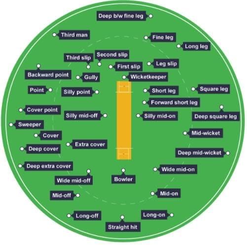 Factfile: Cricket | Physical Education for Year 6