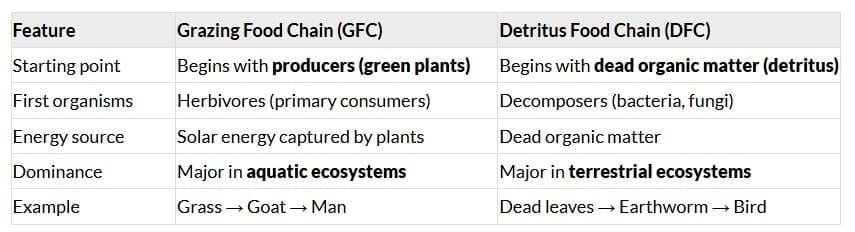 NCERT Solutions: Ecosystem