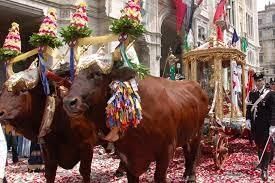 Festivals of the World | General Knowledge for Young Learners - Class 1