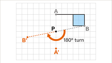 Rotation - Year 7