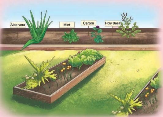 A Concrete Example NCERT Solutions | English Poorvi Class 8 - New NCERT