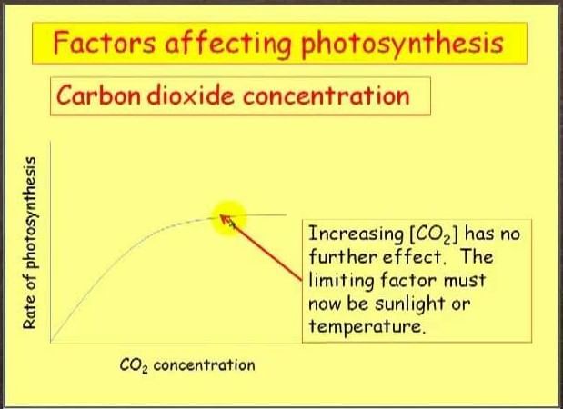 Revision Notes: Photosynthesis - Provider of Food for All | Biology Class 10 ICSE