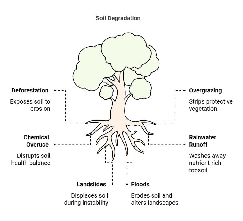 Factors Leading to Soil Degradation