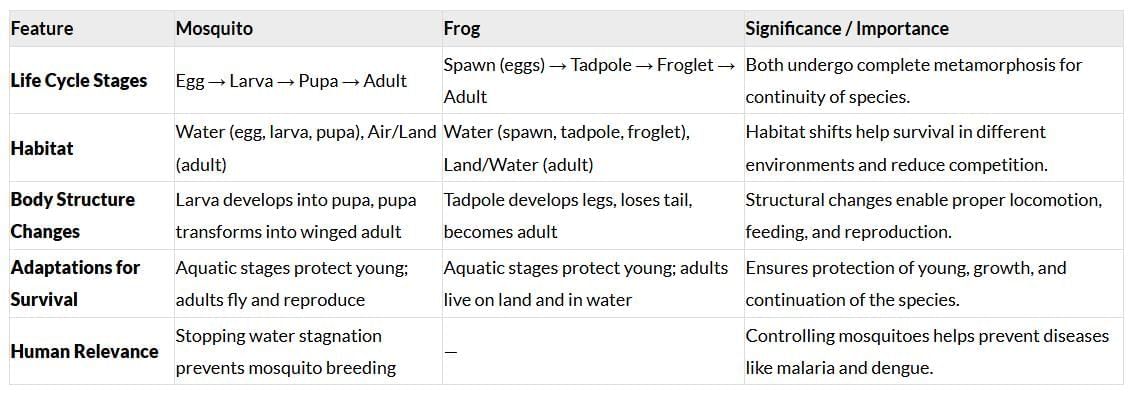 Unit Test (Solution): Living Creatures-Exploring their Characteristics | Science for Class 6