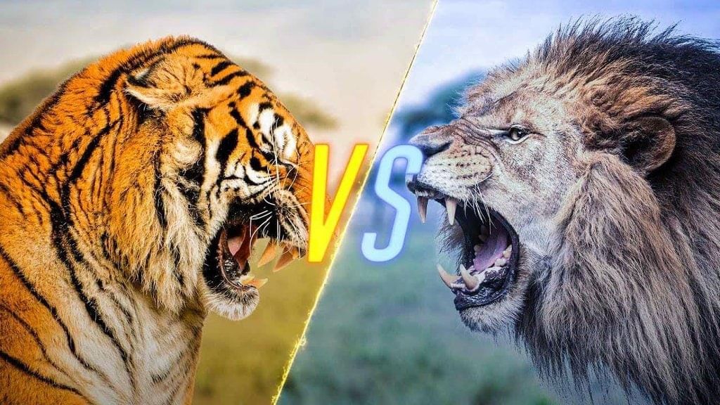 Animals Around Us - CBSE Worksheets- 1 Solutions