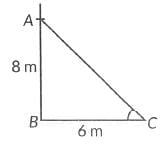 Class 10 Maths Chapter 9 Previous Year Questions - Some Application of Trigonometry