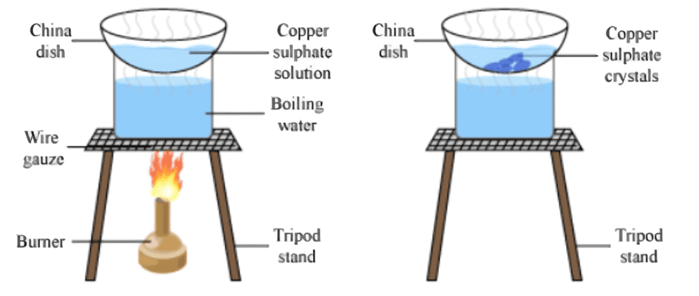 Crystallization of Copper Sulphate