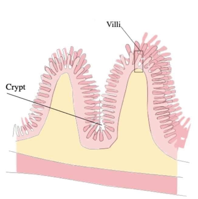 Previous Year Questions 2025