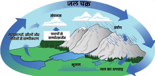 Worksheet: पानी रे पानी | Hindi (Malhar) Class 7 - New NCERT