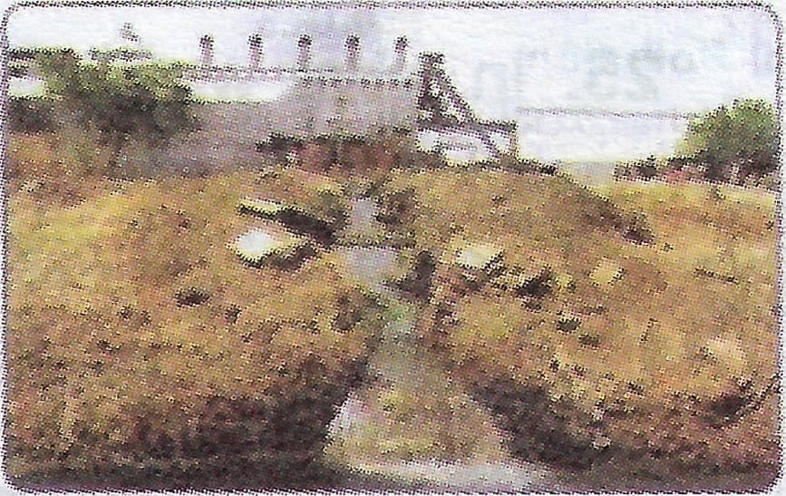 Veena Bhargava Textbook Solutions: Waste Management - Impact of Waste Accumulation