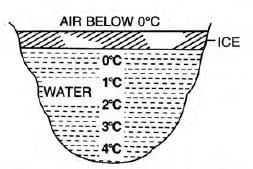 Water Chapter Notes | Chemistry for SSS 1