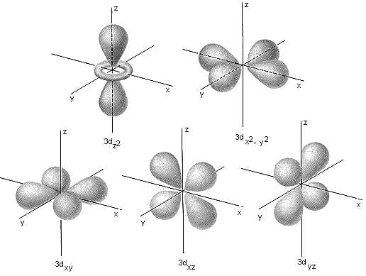 32. Five orbitals of 3d subshell (3dxy, 3dyz, 3dzx, 3dx2-y2, 3dz2 orbitals).
